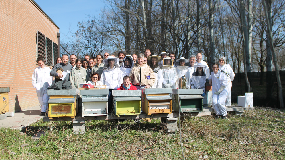 PoshBee team at workshop in Bologna