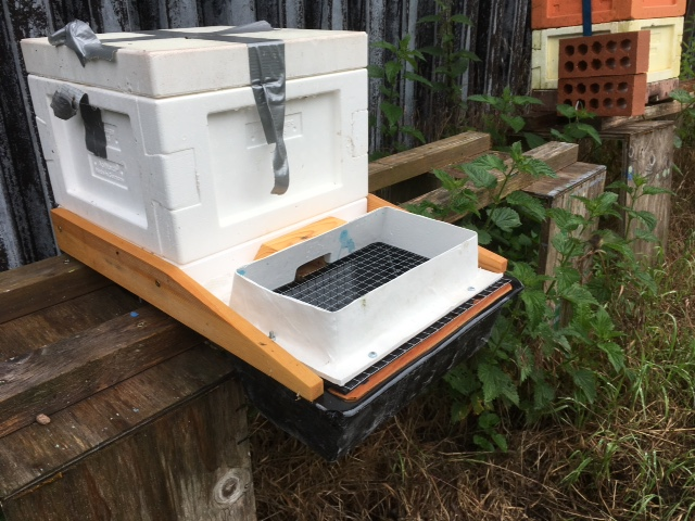 Dead-bee trap