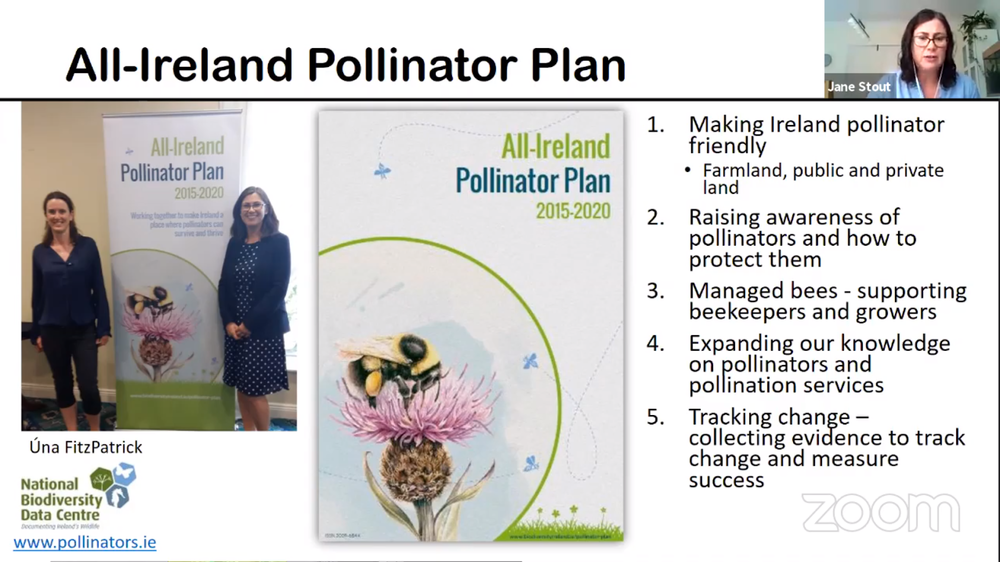 All-Ireland Pollinator Plan