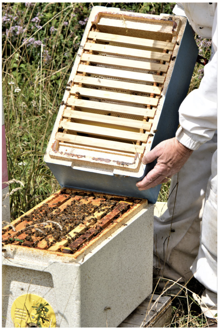 Converter Hive