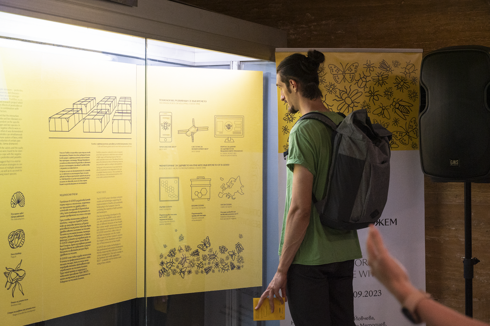 A visitor reading the information panel presenting PoshBee's semi-field experiments. Photo: Boriana Pandova