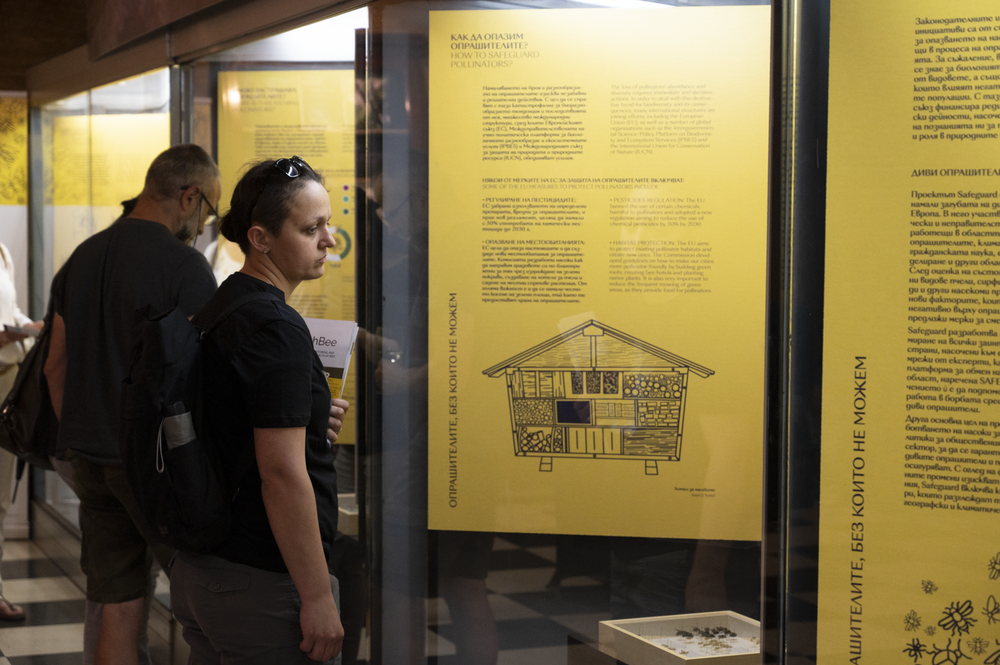 A visitor holding PoshBee's Stakeholder summaries booklet. Photo: Boriana Pandova