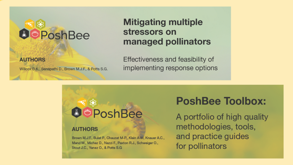 PoshBee policy briefs.