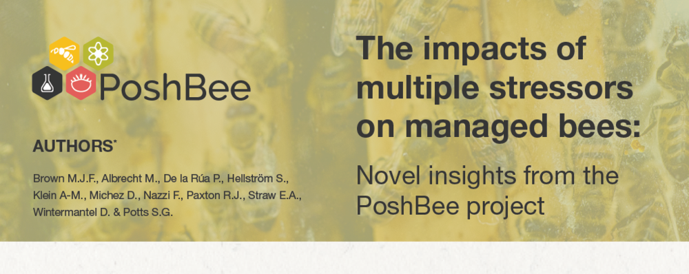 Cover of the final PoshBee policy brief